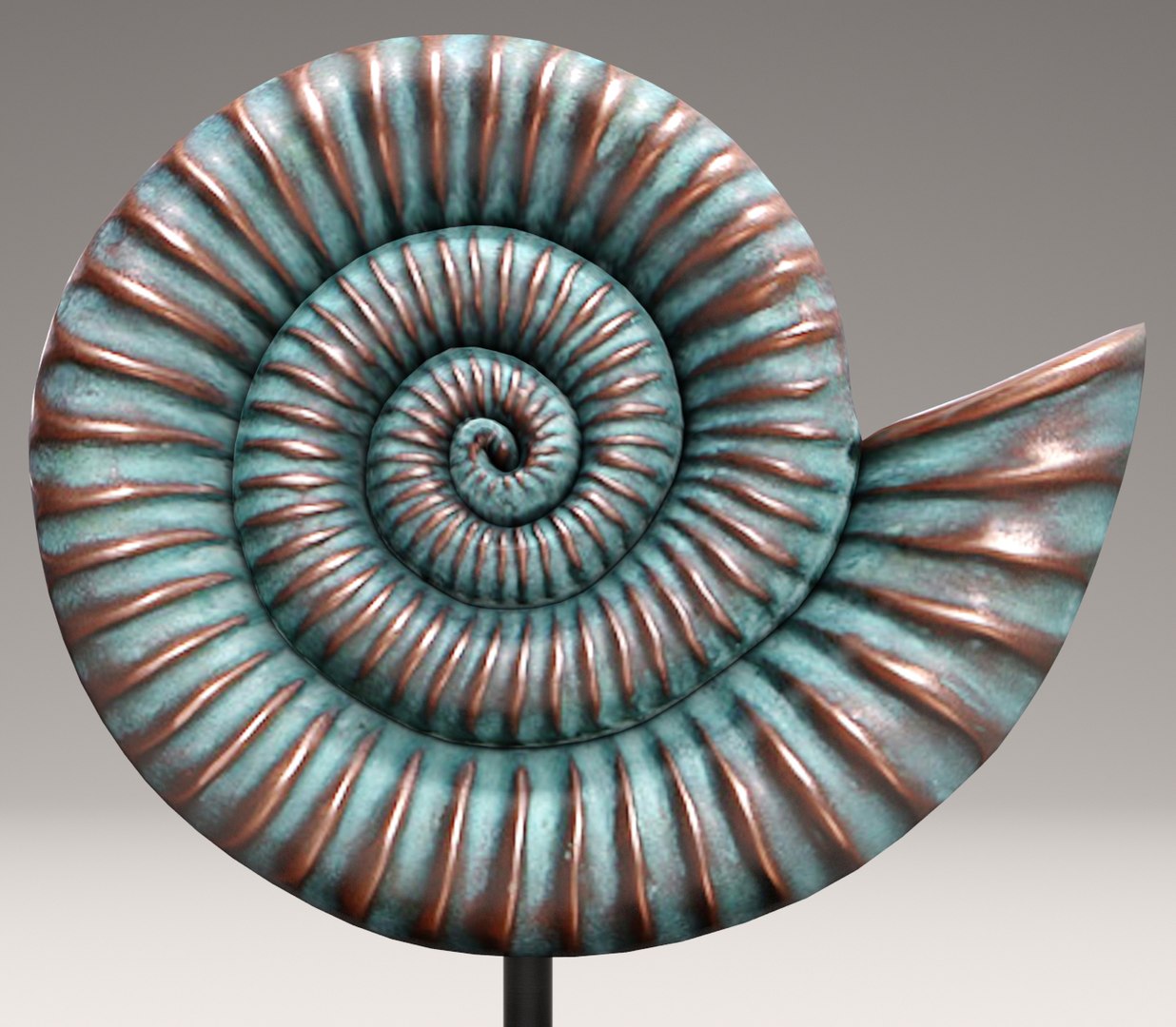 Nautical Shell 3d Model