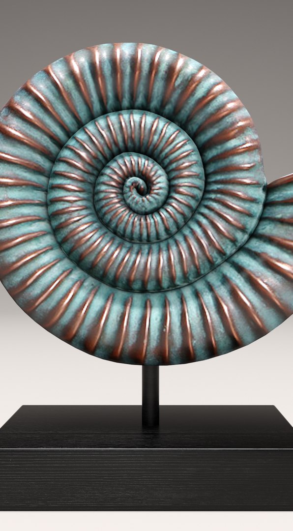 Nautical Shell 3d Model