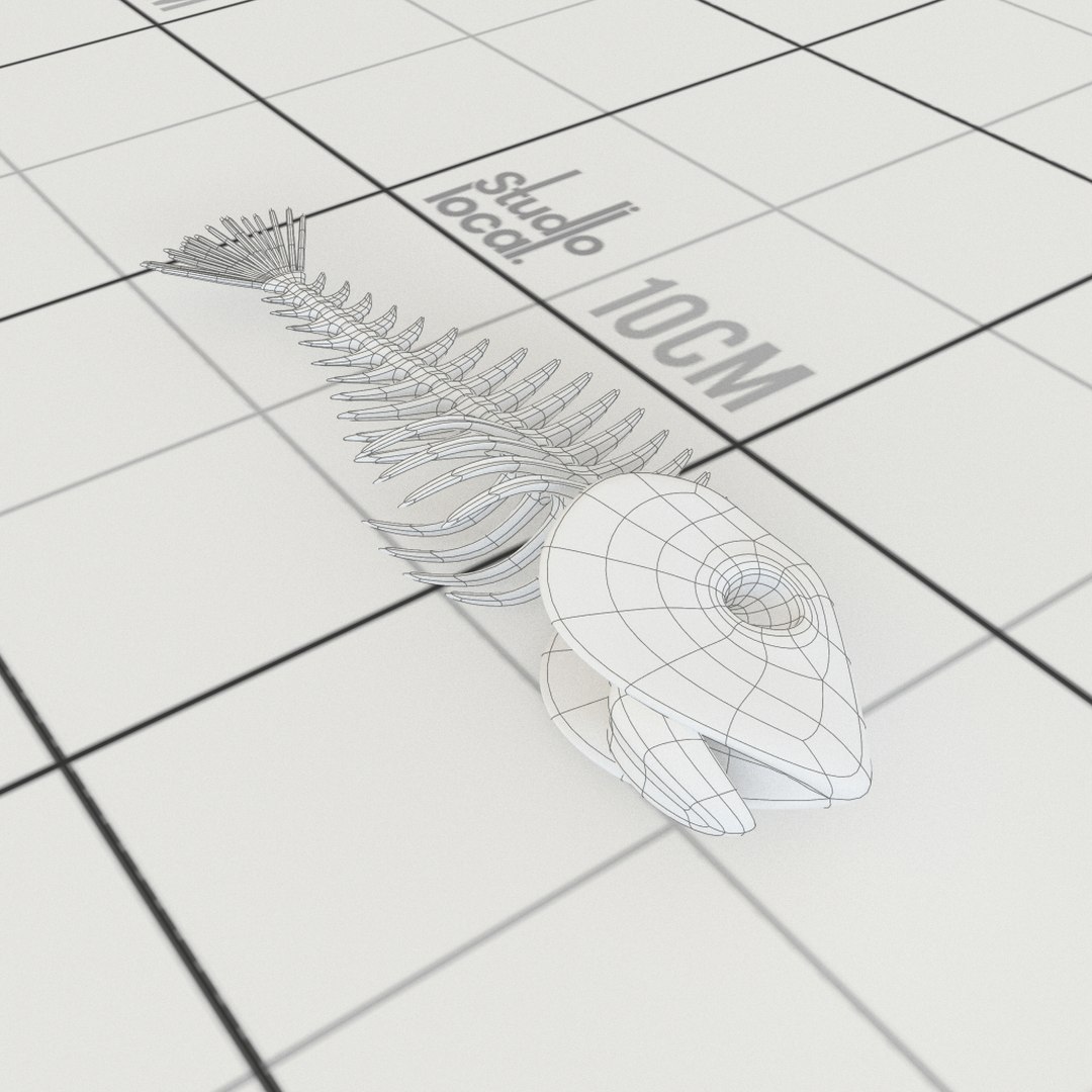 3D Fish Bones - TurboSquid 1207945