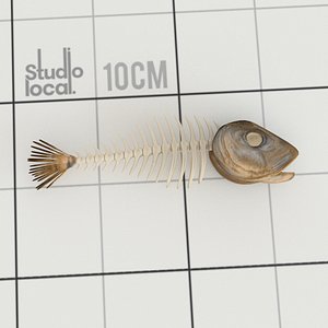 Fish Bones