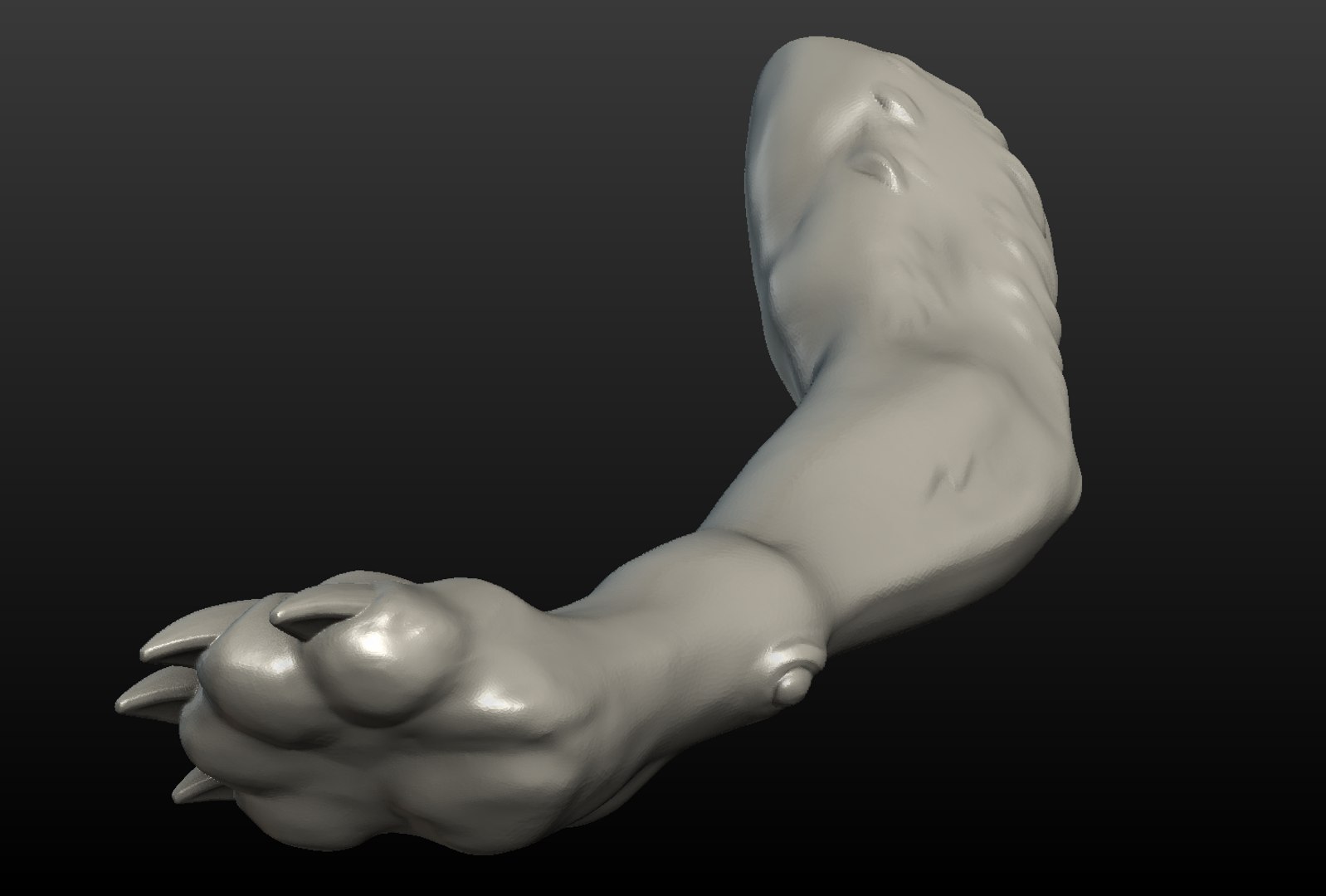 3D wolf paw https://p.turbosquid.com/ts-thumb/pA/dbpXlq/1vD86jy2/wolf_paw013/png/1514098469/1920x1080/fit_q87/ba39f2067a51eb56335dff5a20e469132fef3a45/wolf_paw013.jpg