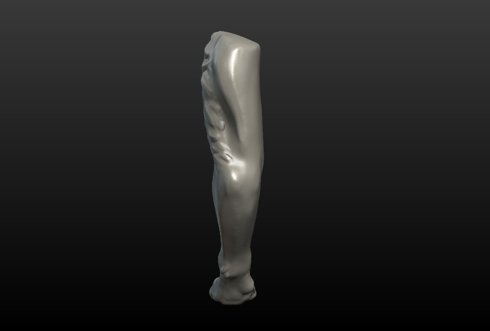 3D wolf paw https://p.turbosquid.com/ts-thumb/pA/dbpXlq/AqrC8u8D/wolf_paw004/png/1514098468/1920x1080/fit_q87/af962b218c5203010b025ed5f39792f0c334aa7f/wolf_paw004.jpg