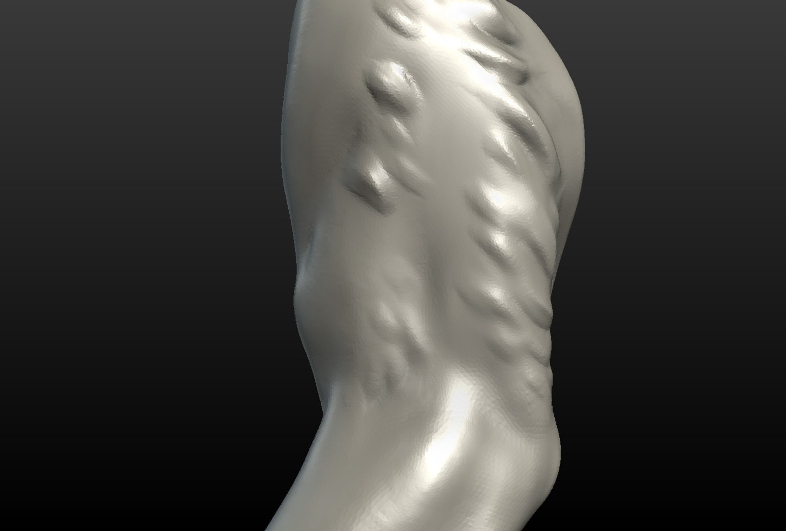 3D wolf paw https://p.turbosquid.com/ts-thumb/pA/dbpXlq/F090OnJX/wolf_paw011/png/1514098469/1920x1080/fit_q87/896dc2320a3429e085332083b3c26b3bb259df75/wolf_paw011.jpg