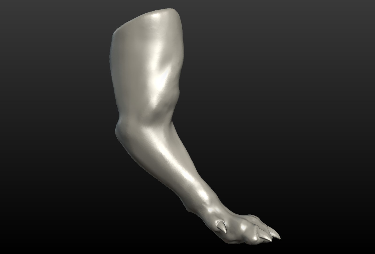 3D wolf paw https://p.turbosquid.com/ts-thumb/pA/dbpXlq/QpzTJnF6/wolf_paw014/png/1514098469/1920x1080/fit_q87/7251112c1be1d09d4f4fe5a99f1f630154caa58d/wolf_paw014.jpg