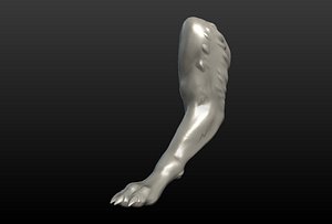 3D wolf paw