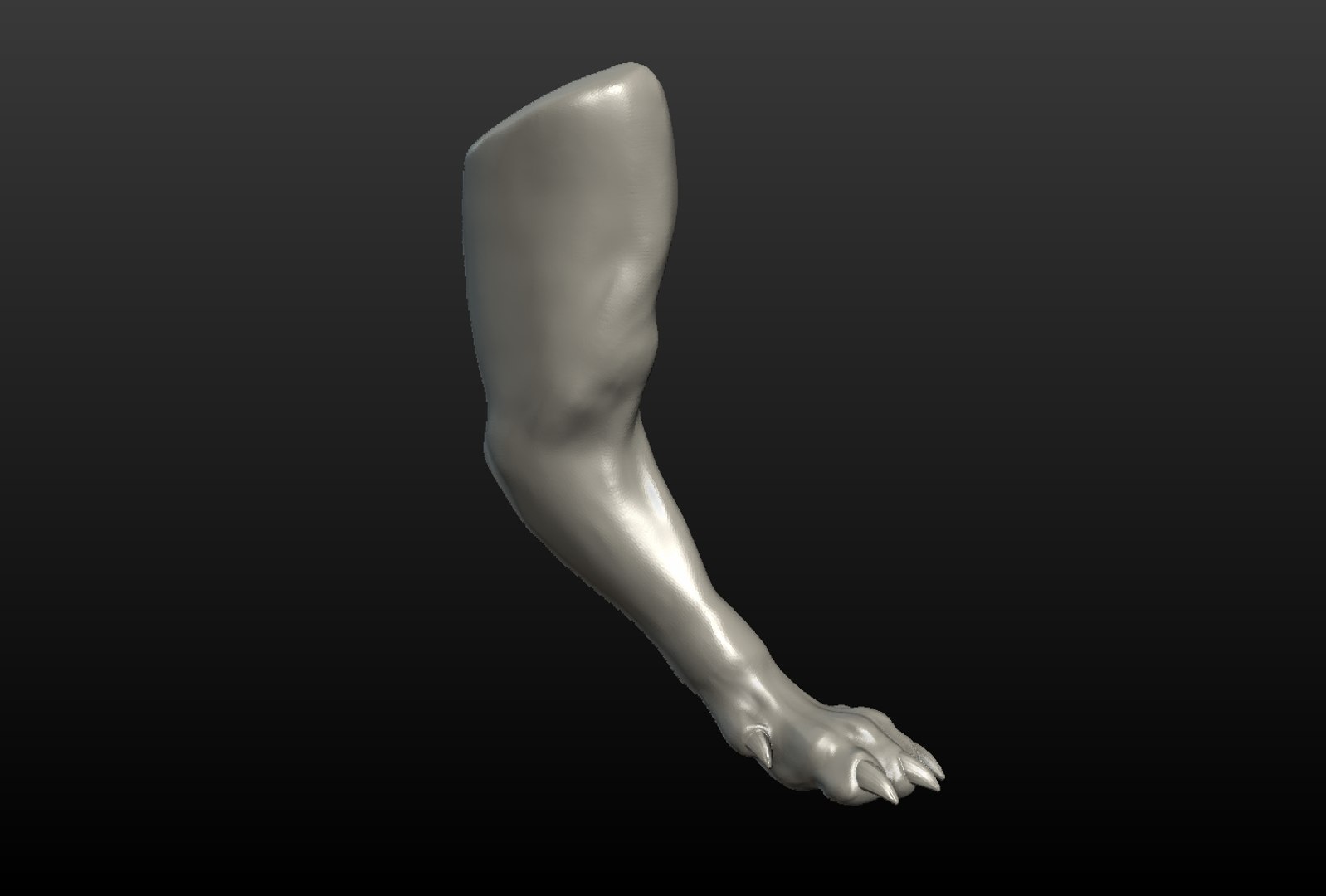 3D wolf paw https://p.turbosquid.com/ts-thumb/pA/dbpXlq/yrVW5jtT/wolf_paw003/png/1514098468/1920x1080/fit_q87/6b7425b3aa414c5fee6e469fc4749fec57a6b654/wolf_paw003.jpg