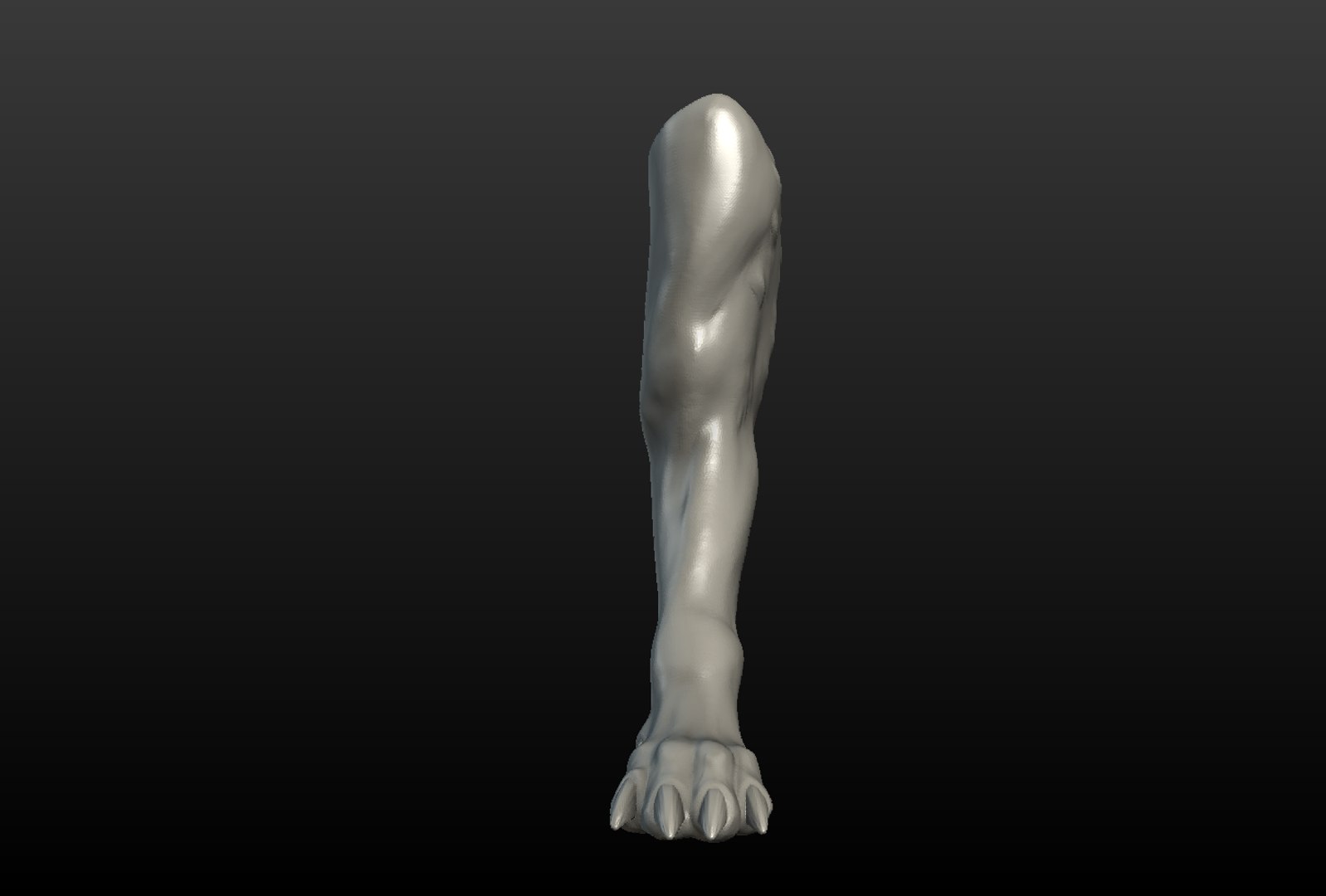 3D wolf paw https://p.turbosquid.com/ts-thumb/pA/dbpXlq/zrVNsTcu/wolf_paw002/png/1514098468/1920x1080/fit_q87/061f58ac0a8013f4453c60fd3f1a7e1cfa915ac5/wolf_paw002.jpg