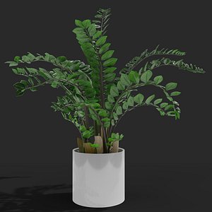 plant planter nature 3D model