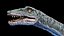 elasmosaurus 3D model