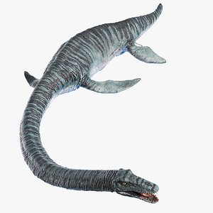 elasmosaurus 3D model
