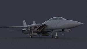 F 14 Tomcat 3D