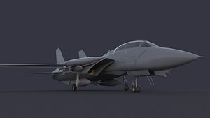 F 14 Tomcat