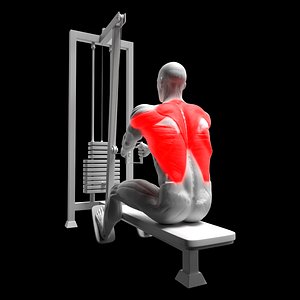 3D Seated Low Row model