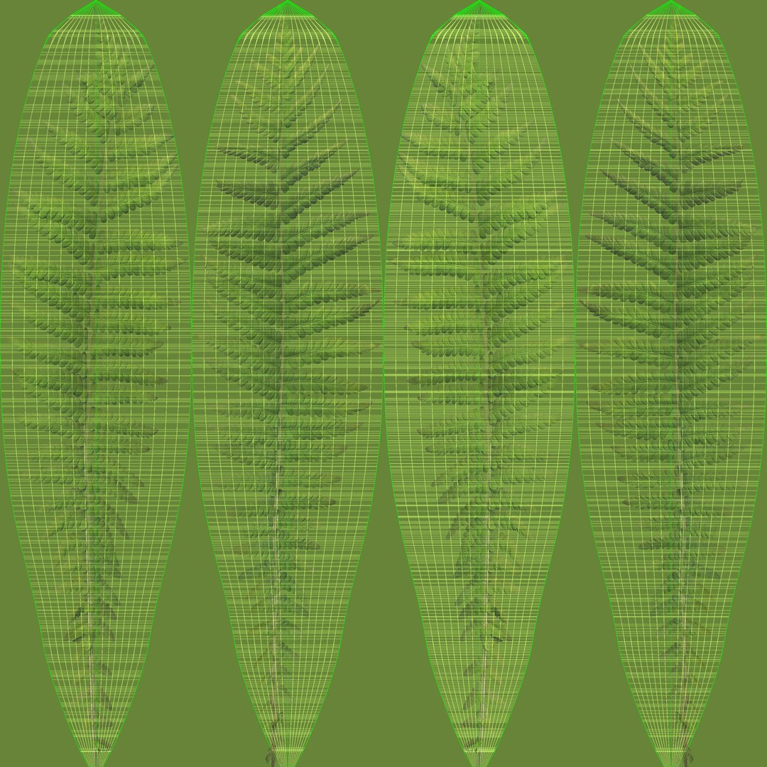 Fern Dryopteris 01 3D https://p.turbosquid.com/ts-thumb/pA/uPo8yS/Tv/unwrap/jpg/1751964538/1920x1080/fit_q87/8d092eaf3997c1ef4f75ad93eb09a1e60f515c22/unwrap.jpg