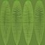 Felce Dryopteris 01