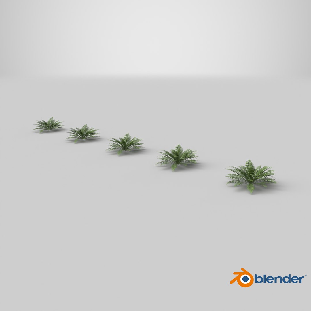 Fern Dryopteris 01 3D https://p.turbosquid.com/ts-thumb/pA/uPo8yS/Yr/stemcell_blender_cycles_render/png/1751980797/1920x1080/fit_q87/51d53e153f468fcc599c48c632a89b47a730c82f/stemcell_blender_cycles_render.jpg