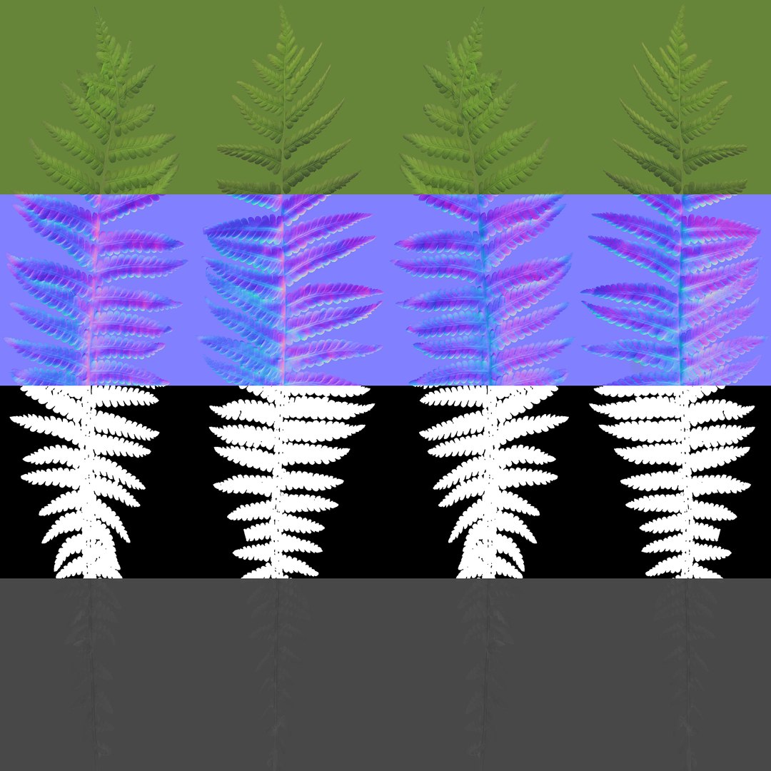 Fern Dryopteris 01 3D https://p.turbosquid.com/ts-thumb/pA/uPo8yS/uI/stack_maps/jpg/1751964541/1920x1080/fit_q87/71871e00d694feaf22897575171bff3022657ba0/stack_maps.jpg
