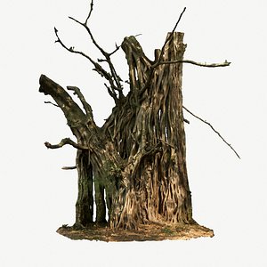 3D scanned tree model
