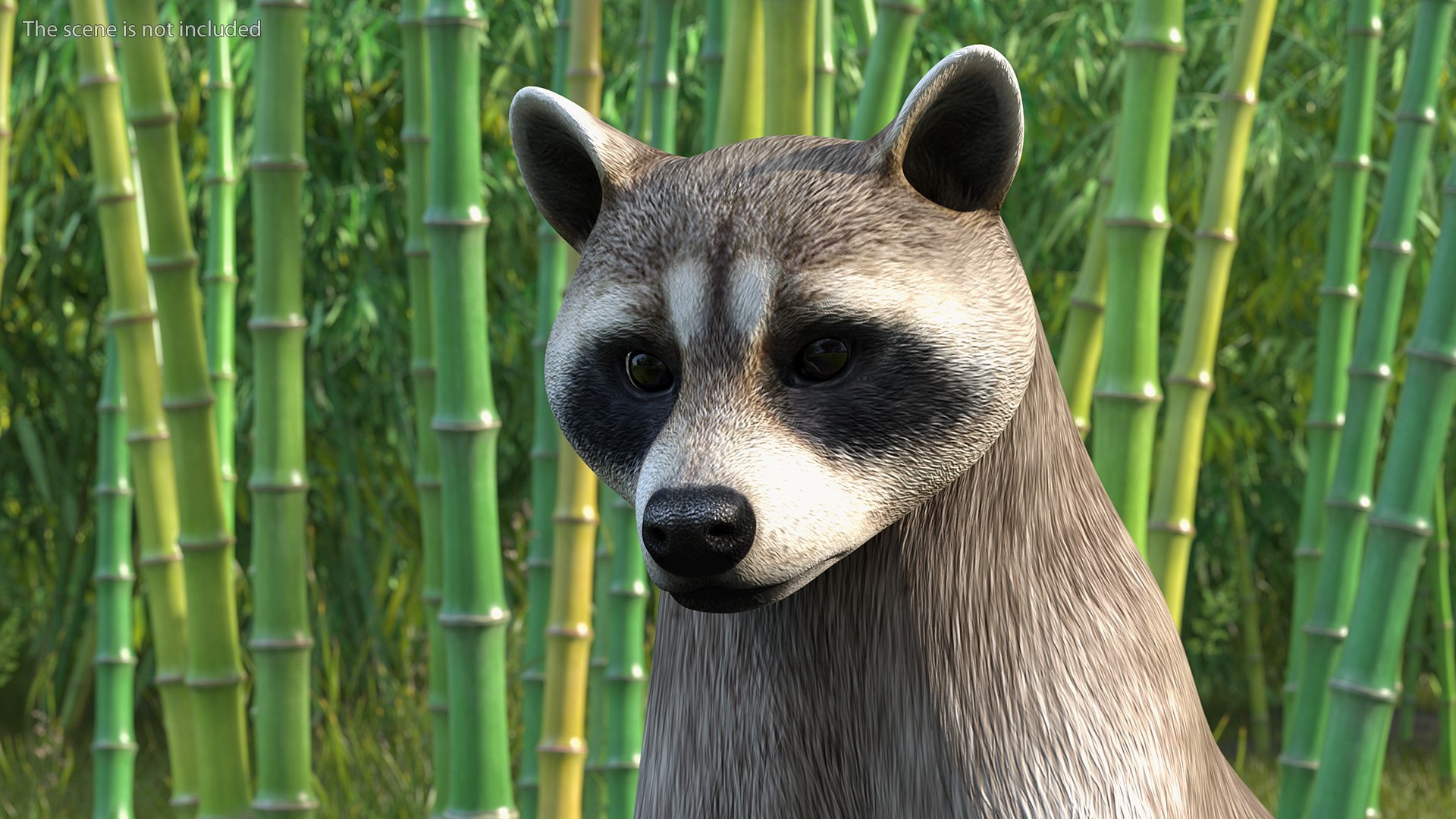 Raccoon Standing Pose 3D - TurboSquid 1872769