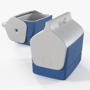 Personal Cooler Box with Swing Top