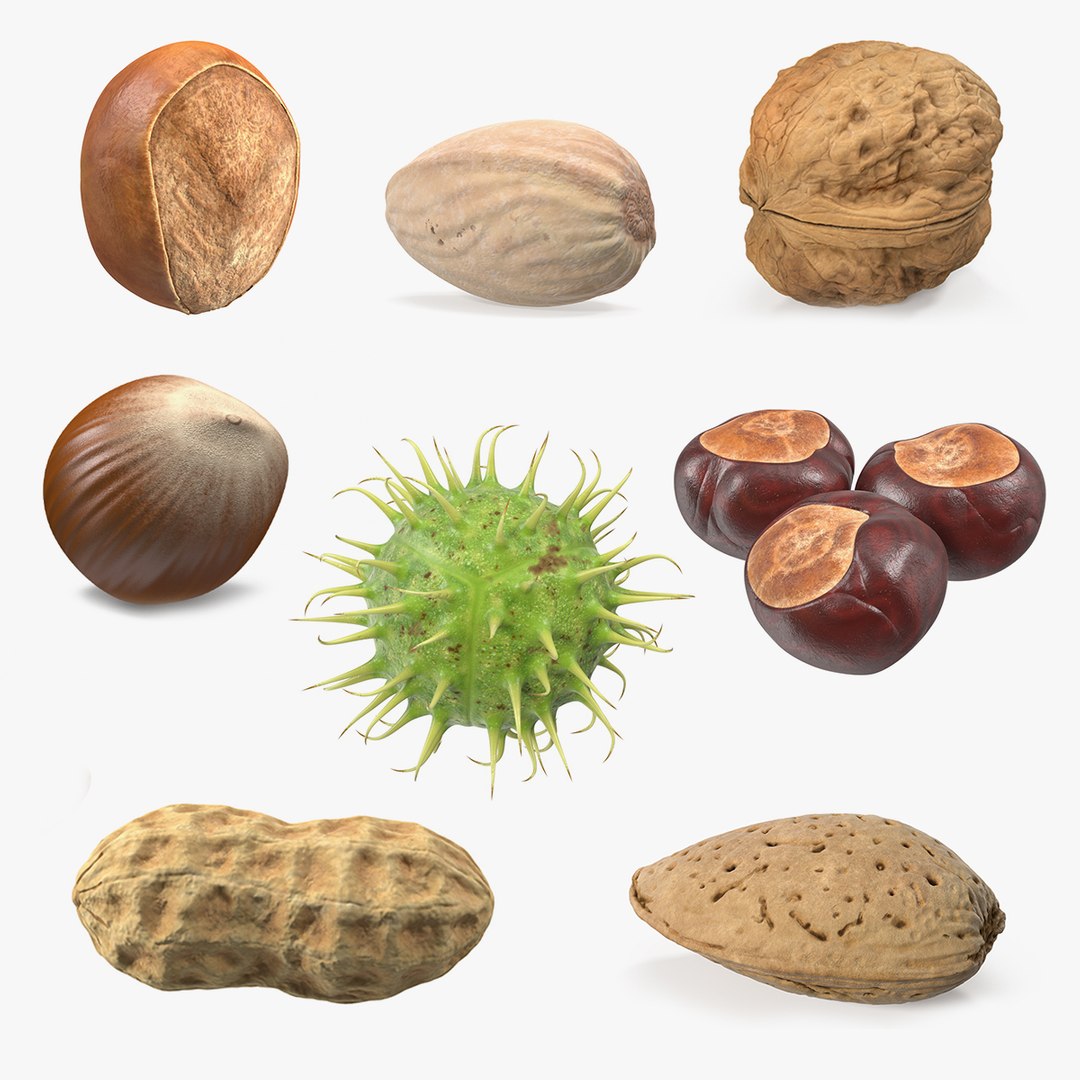 Nuts Collection 8 3D model preview
