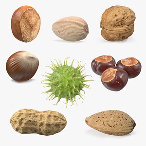 3D Nuts Collection 8