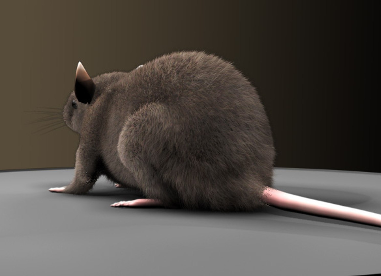 3ds Max Realistic Rat Fur