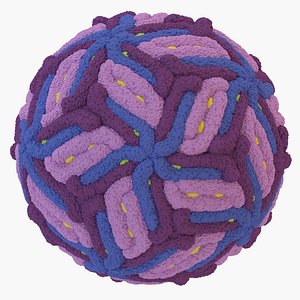 zika virus 3D