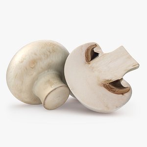 Button Mushroom Champignon