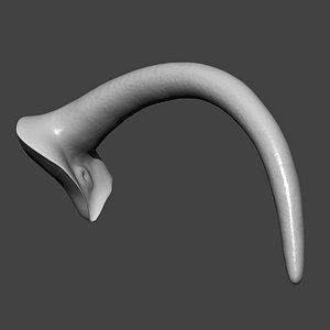 3D model Horse Tail Highpoly Sculpt