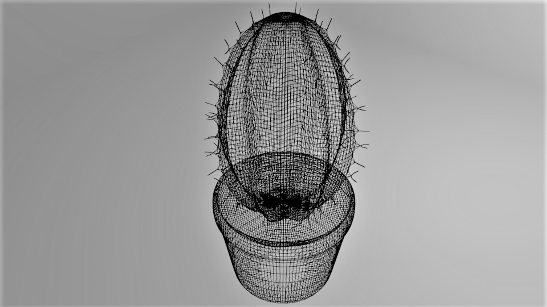cactus plant 1 3D model https://p.turbosquid.com/ts-thumb/pB/GygU8q/uqpHn2ku/wireframe_2/png/1590112698/1920x1080/fit_q87/4523891e06b313b385d9c1873a92ee939bcc3511/wireframe_2.jpg
