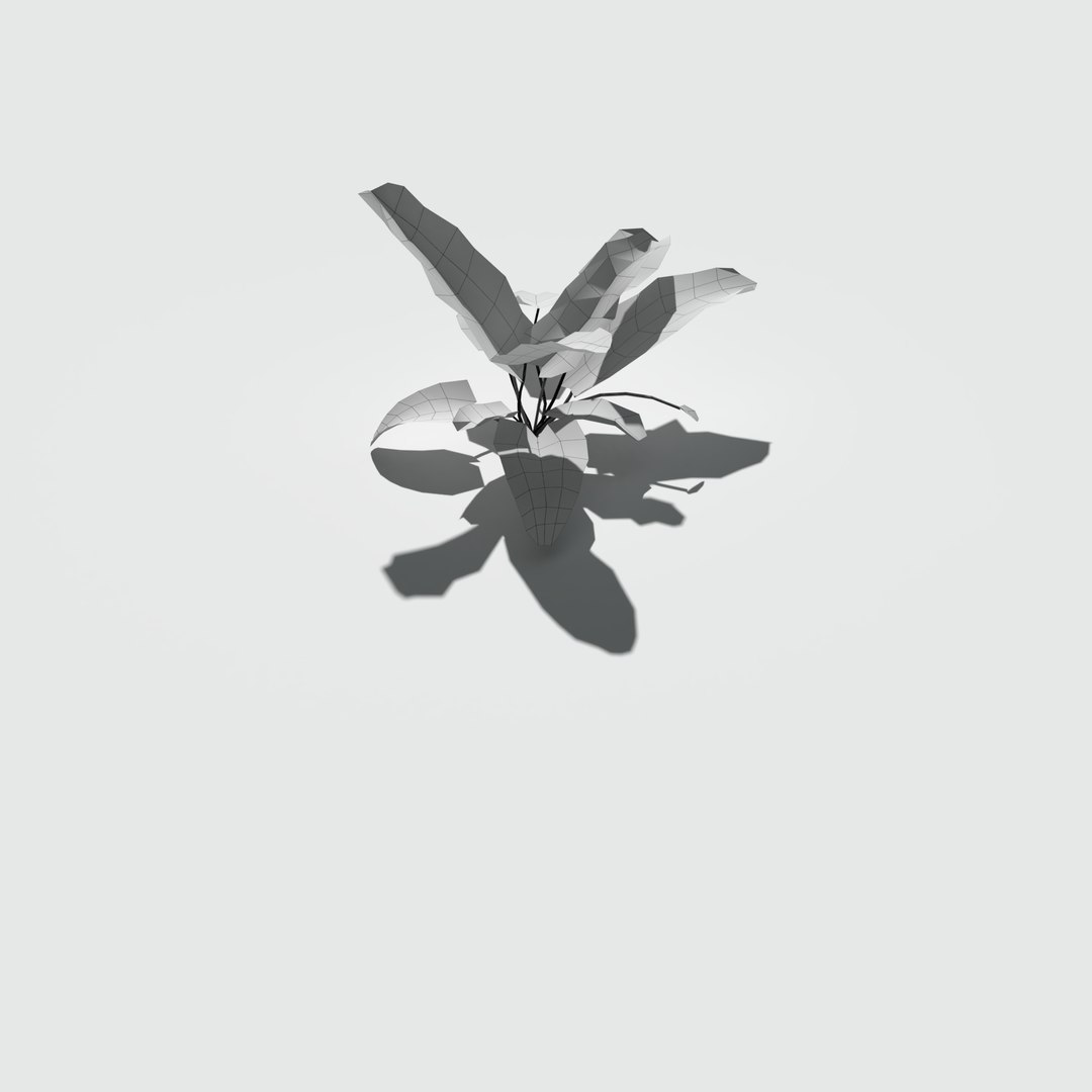 3D nettle meadow patch https://p.turbosquid.com/ts-thumb/pB/JnbyGO/7EWlNXv5/meadowpatch_nettle_preview_22/png/1574011197/1920x1080/fit_q87/9554dcf4e9d9d48b3273b8c8807d5c9681658898/meadowpatch_nettle_preview_22.jpg