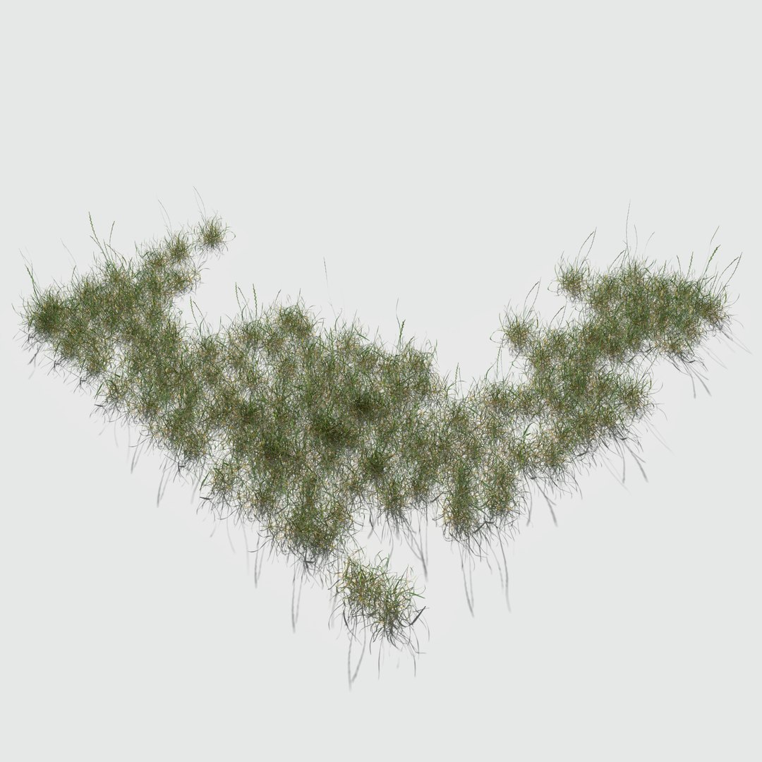 3D nettle meadow patch https://p.turbosquid.com/ts-thumb/pB/JnbyGO/atUCgM01/meadowpatch_nettle_preview_07/png/1574010645/1920x1080/fit_q87/25ff79fb9e5640e84c0cdc5db1bd2139d0178aca/meadowpatch_nettle_preview_07.jpg
