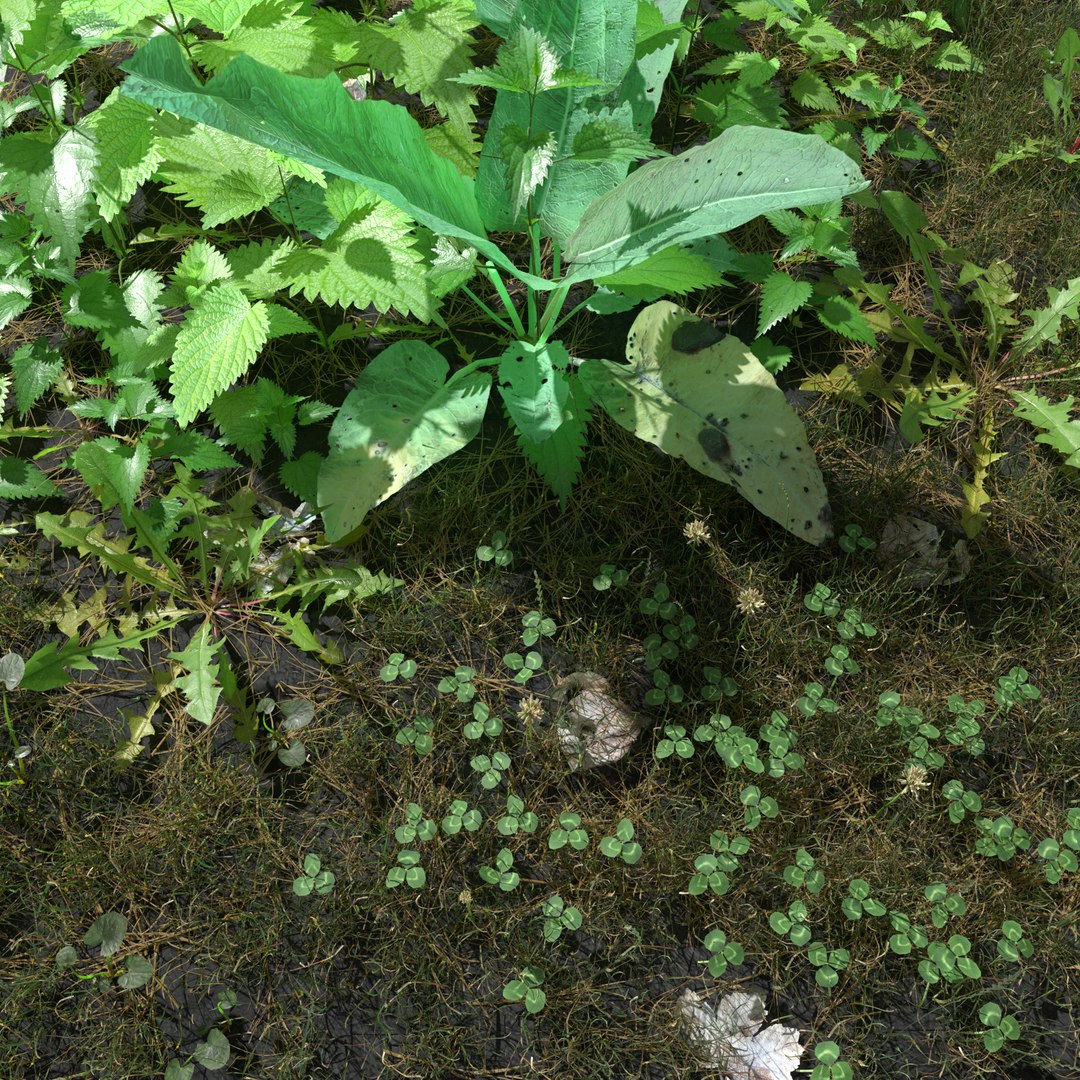 3D nettle meadow patch https://p.turbosquid.com/ts-thumb/pB/JnbyGO/bMLvNtav/meadowpatch_nettle_preview_01/png/1574010162/1920x1080/fit_q87/c357e256d12db0e88d8e6cf70ac0753dc3e0b8c9/meadowpatch_nettle_preview_01.jpg