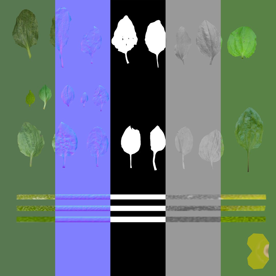 3D nettle meadow patch https://p.turbosquid.com/ts-thumb/pB/JnbyGO/f07E0MBi/meadowpatch_nettle_preview_25/png/1574011911/1920x1080/fit_q87/f141add89c661868c134afcc641c331ec649f474/meadowpatch_nettle_preview_25.jpg