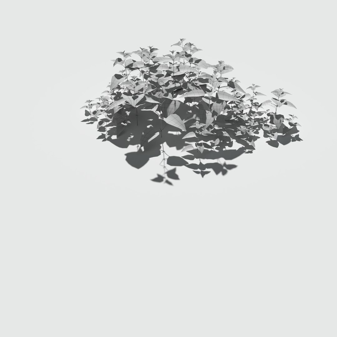 3D nettle meadow patch https://p.turbosquid.com/ts-thumb/pB/JnbyGO/jR4gdJuX/meadowpatch_nettle_preview_10/png/1574010766/1920x1080/fit_q87/19be6052495720890dfb0381ec517d5728f02394/meadowpatch_nettle_preview_10.jpg