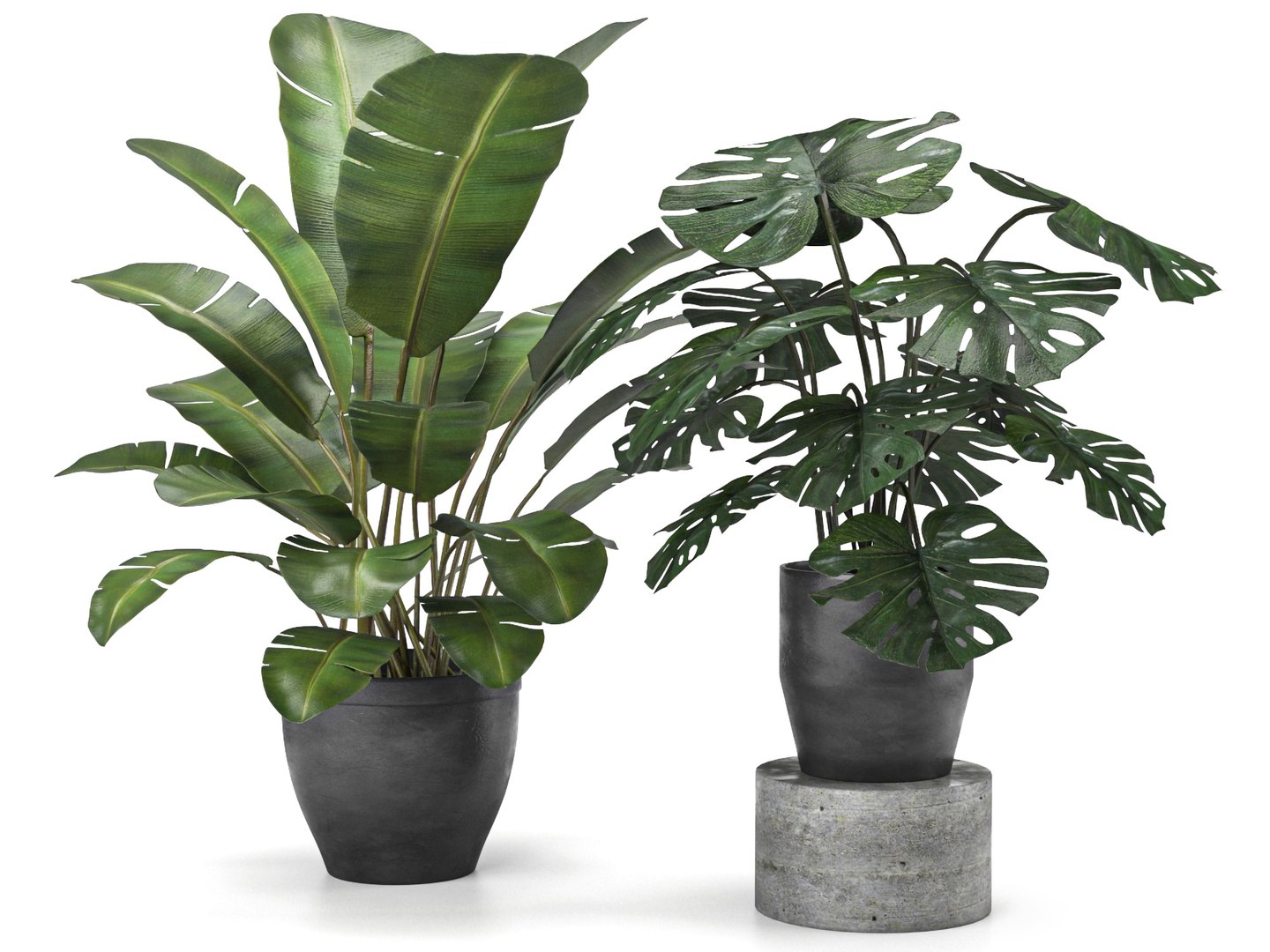 5 3D model https://p.turbosquid.com/ts-thumb/pB/MQAzas/Al/c3pp/jpg/1614515510/1920x1080/fit_q87/7d30d919b07aa8249e2c325c96ad0ab38ed809f6/c3pp.jpg