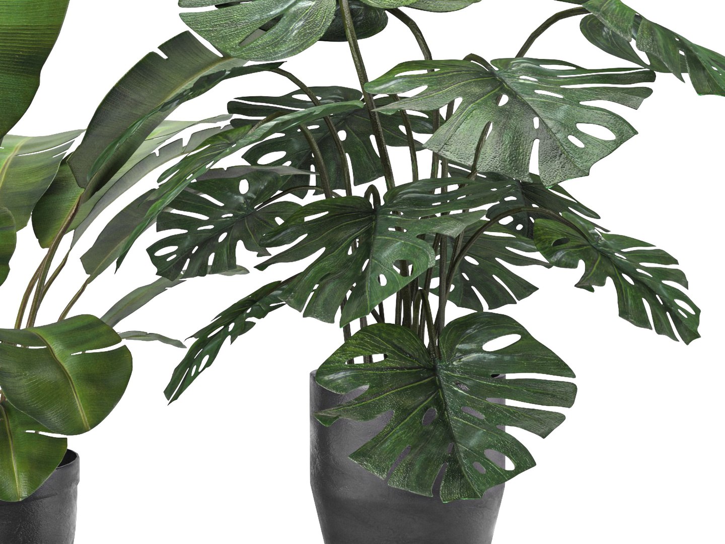 5 3D model https://p.turbosquid.com/ts-thumb/pB/MQAzas/wY/c5pp/jpg/1614515539/1920x1080/fit_q87/a9ed57eebbc1340e3740aefbda77a74b60468858/c5pp.jpg