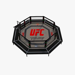 3D UFC MMA Fighting Arena
