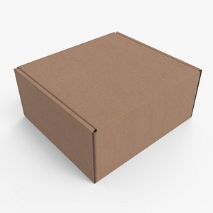 Cardboard box 3D