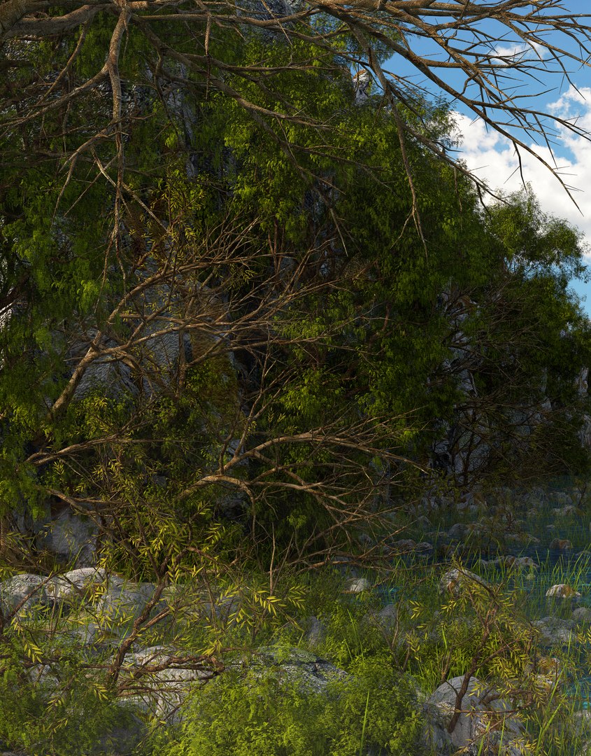 landscape river nature 3D https://p.turbosquid.com/ts-thumb/pB/QoPkNi/2Zxaaiuo/path3/jpg/1586639407/1920x1080/fit_q87/b497d1e32ac3b1d10d844edd6b032e2e18cb09b1/path3.jpg