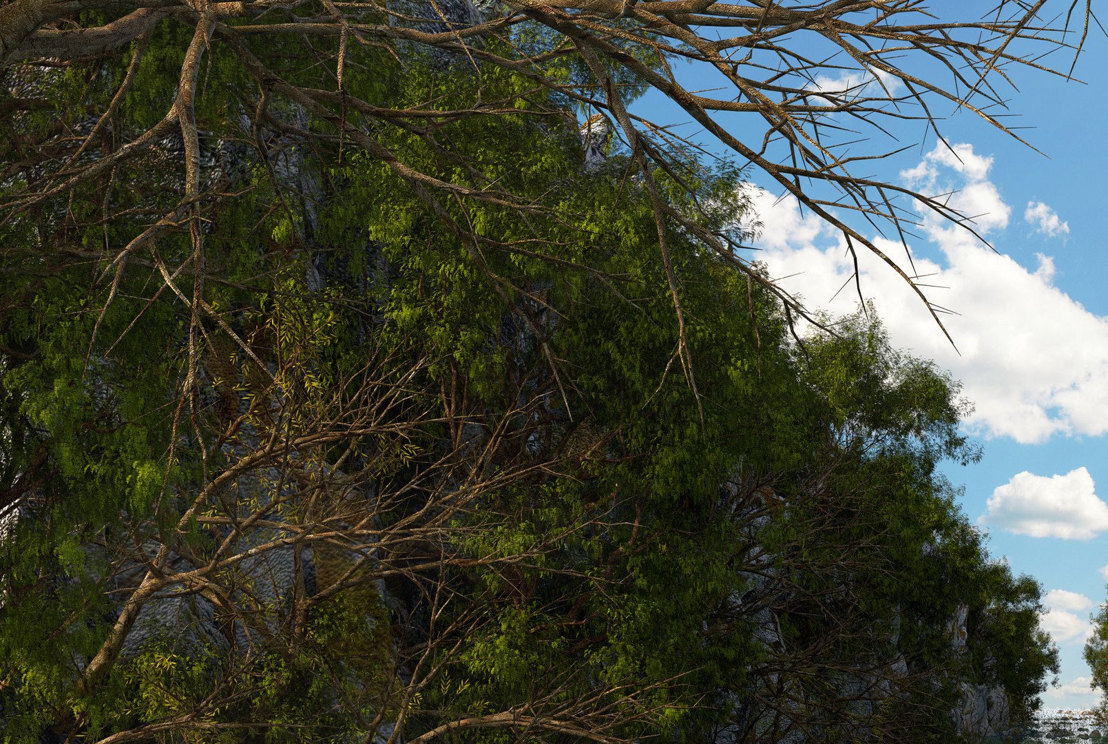 landscape river nature 3D https://p.turbosquid.com/ts-thumb/pB/QoPkNi/3ijEeHpU/path7/jpg/1586639407/1920x1080/fit_q87/e402166c1f979383d3c89242af251254259a0280/path7.jpg