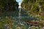 Fantasy River Path