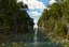 Fantasy River Path