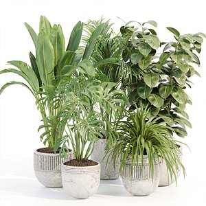 3D indoor plants collection vol 125