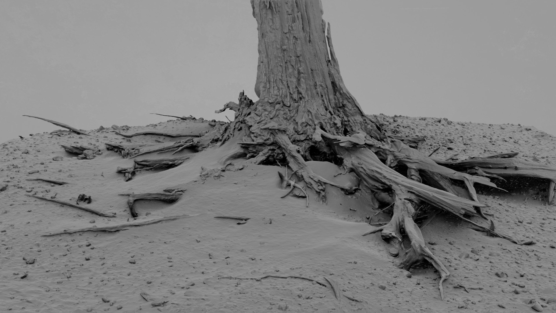 3D Dead Tree 008 Model - TurboSquid 2324915