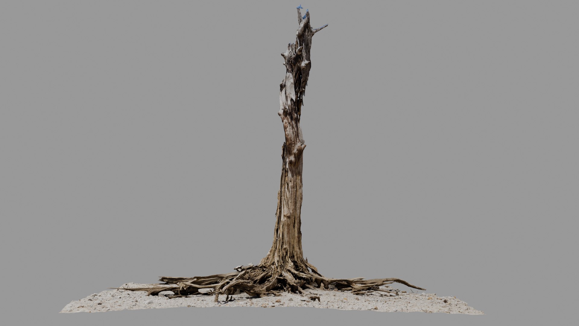 3D Dead Tree 008 Model - TurboSquid 2324915