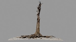 Dead Tree 008