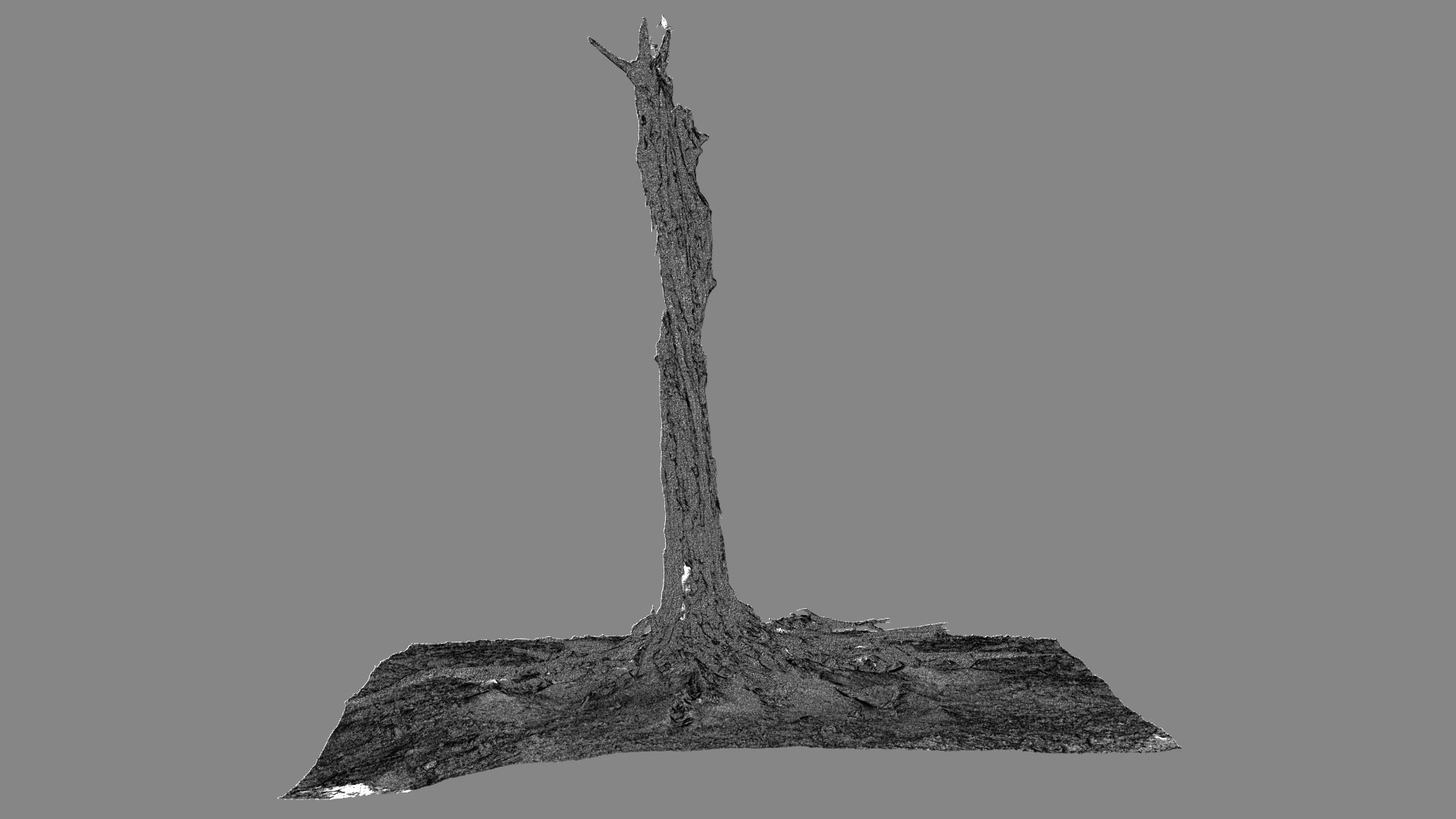 3D Dead Tree 008 Model - TurboSquid 2324915