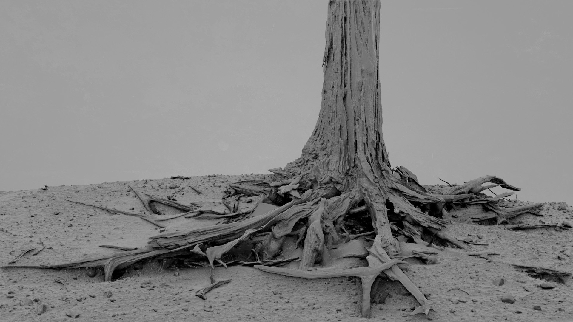3D Dead Tree 008 Model - TurboSquid 2324915